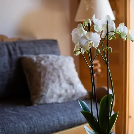 Apartment Balneo Au Coeur Des Alpes *